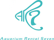 AR-7 Aquarium Rental Seven